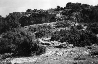 /album/%ce%ad%ce%ba%ce%b8%ce%b5%cf%83%ce%b7-%cf%86%cf%89%cf%84%ce%bf%ce%b3%cf%81%ce%b1%cf%86%ce%b9%cf%8e%ce%bd/%cf%84%ce%bf-%ce%ba%ce%b1%cf%83%cf%84%cf%81%ce%b9-%ce%bc%ce%b1%cf%83-jpg/